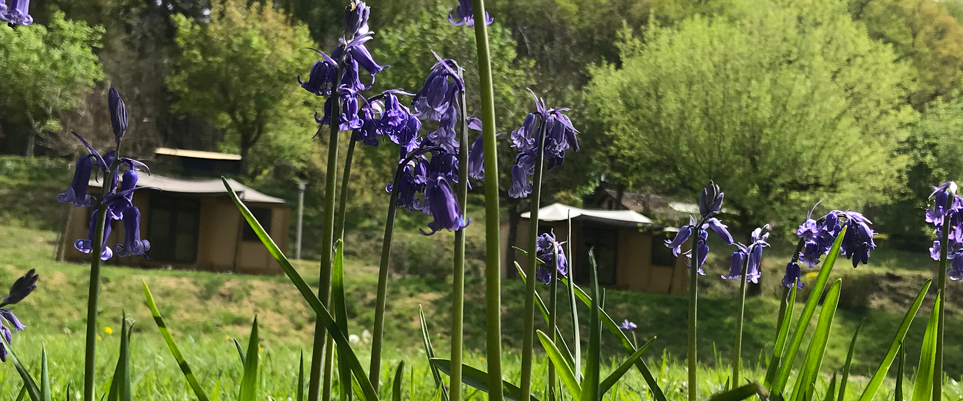 Camping La Chatonnière