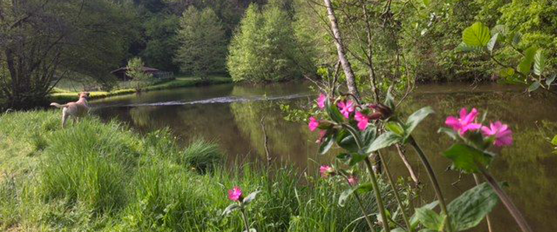 Camping La Chatonnière