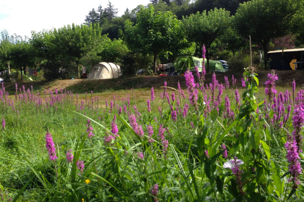 camping Limousin