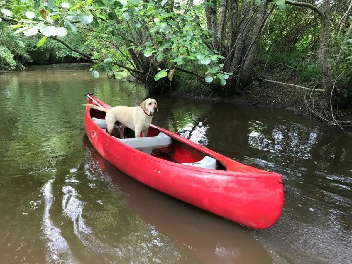 Kanoën in de buurt van camping La Chatonnière