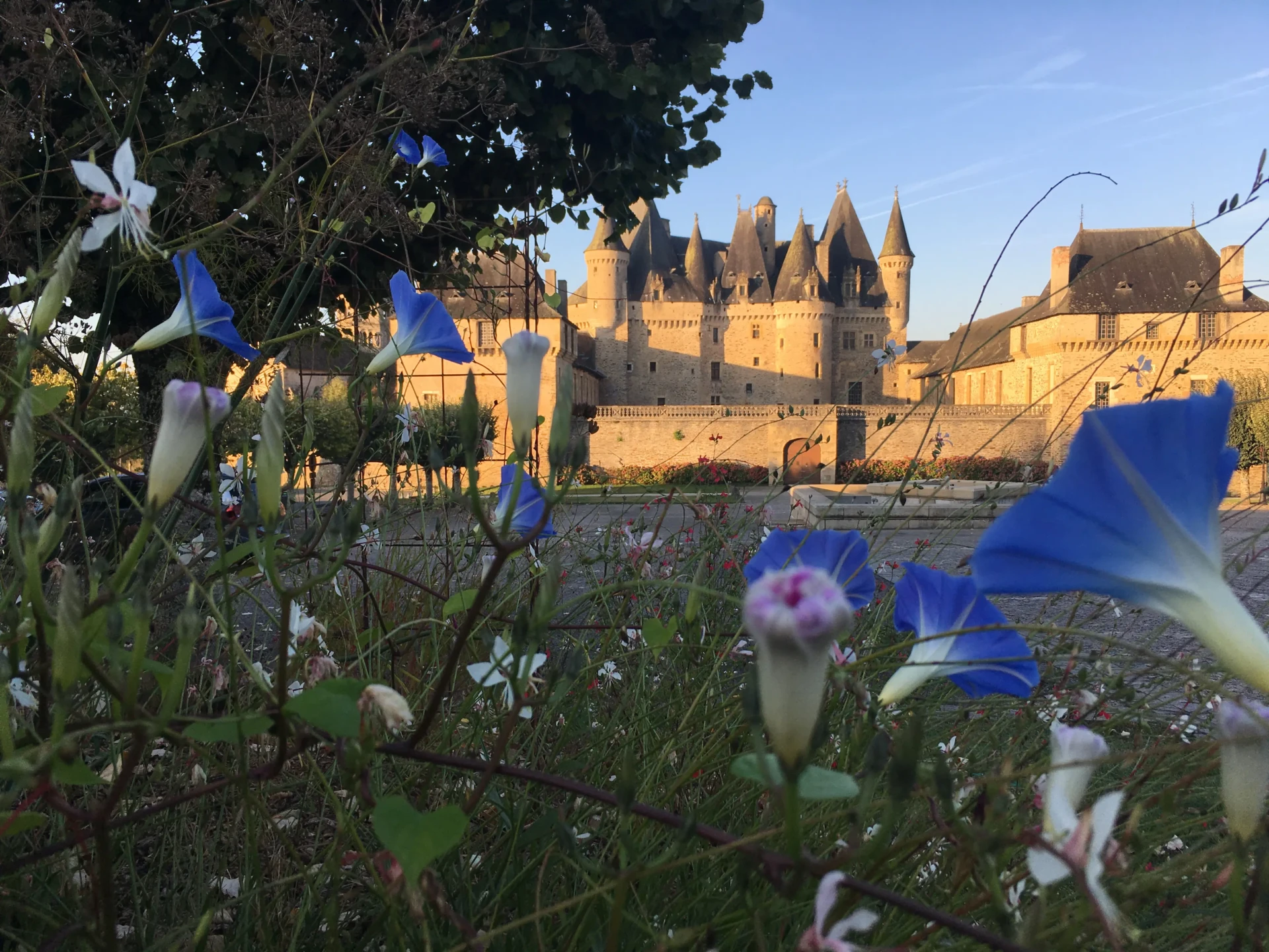 Le château de Jumilhac proche du camping la Chatonnière