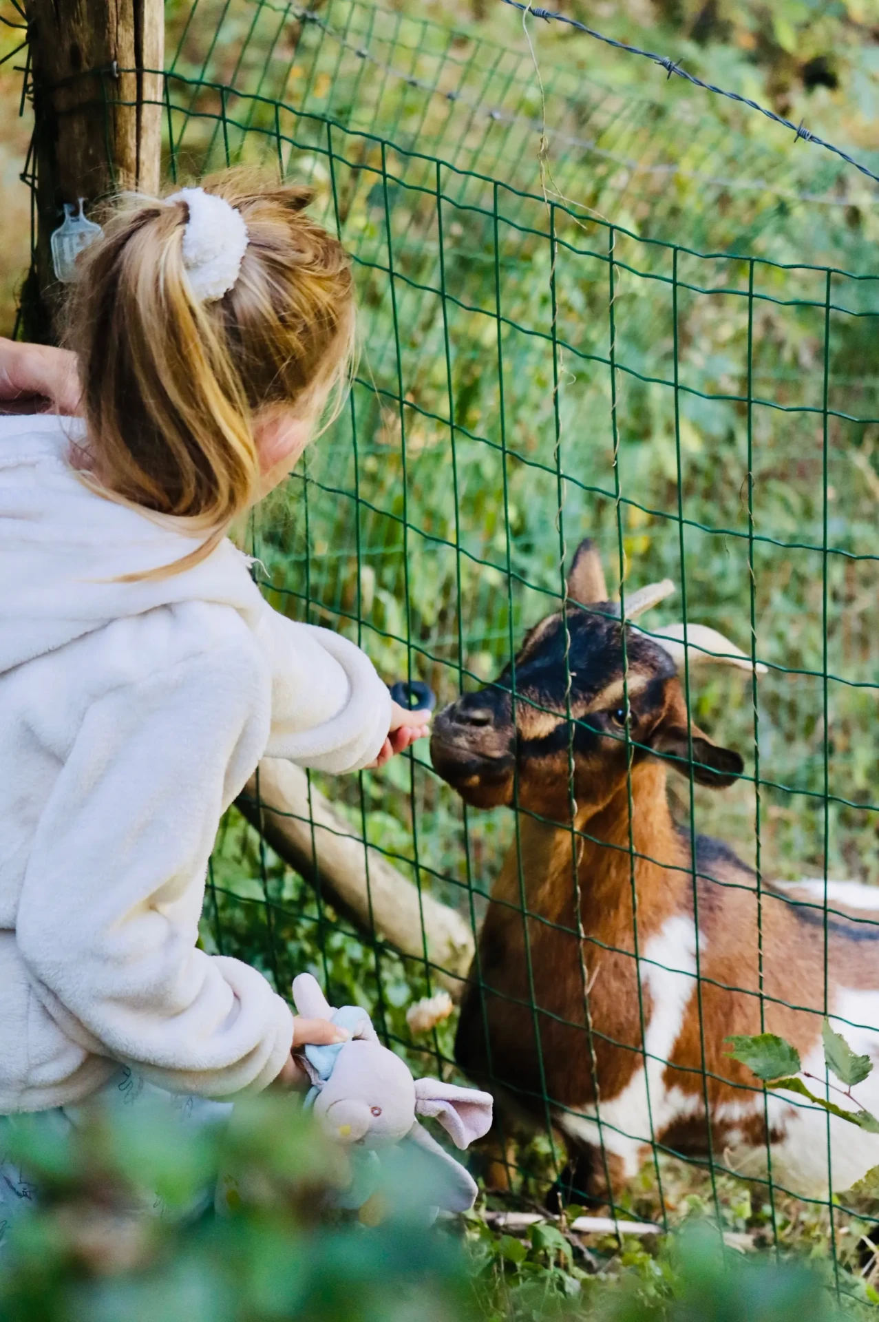 Kinderboerderij op de camping La Chatonnière